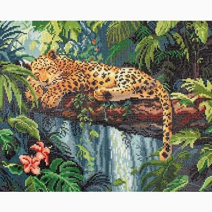 Leopard on a Branch