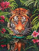Tiger in the jungle