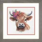 Higland Cow