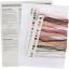 Higland Cow