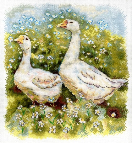 Geese on a walk