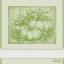 Kitchen towel - Delica - Green