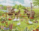Donkeys' Yard