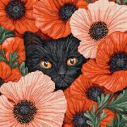 Poppy Eyes