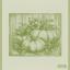 Kitchen towel - Delica - Green - NO Aida