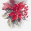 Poinsettia (Tatiana Kashtalyan)