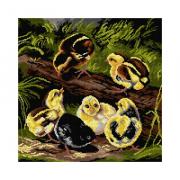 Chicks (Arthur Fitzwilliam Tait)