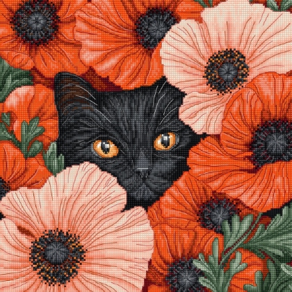 Poppy Eyes