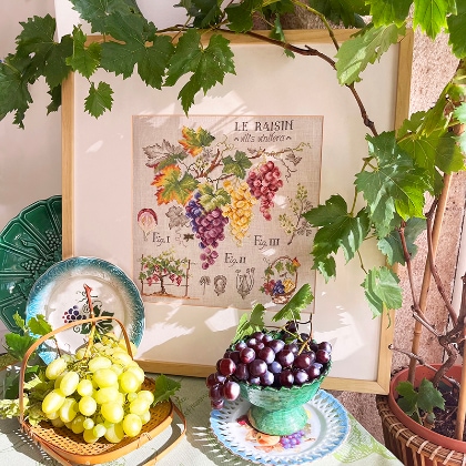 Étude aux Raisins - Linen