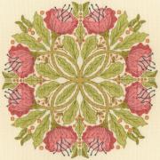Celtic Poppies