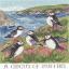 A Circus Of Puffins