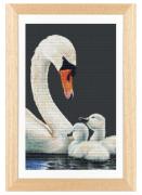Swans and Signets - Black Aida