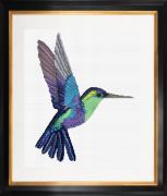 Kolibri