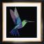 Kolibri - Black Aida