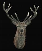 Red Deer - Black