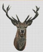 Red Deer - Linen