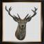Red Deer - Linen