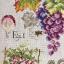 Étude aux Raisins - Linen