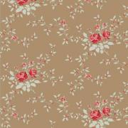 Noel Taupe