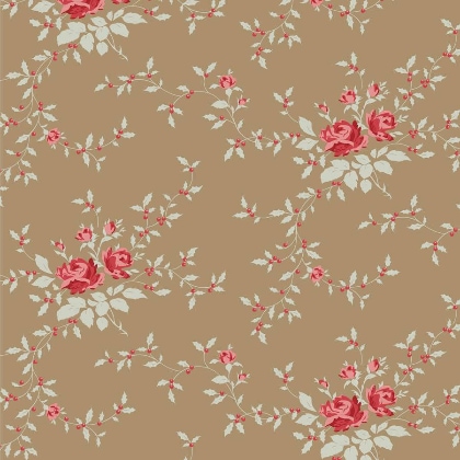 Noel Taupe