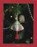 Teardrop Tulips