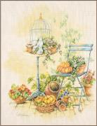 Free from the birdcage