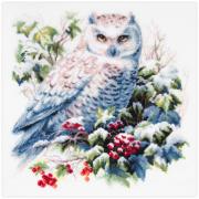 Snowy Owl
