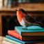 Red Robin