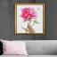 Peonies - Grace