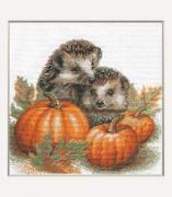 Hedgehogs in the Harvest