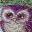 Raindrop Owl