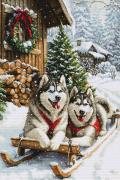 The Magic of the Nordic Winter