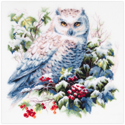 Snowy Owl