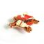 Santa Dachshund Needle Minder