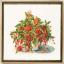 Golden berries