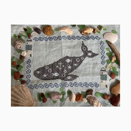 Wild Whimsy Whale