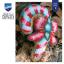 Cushion - Candy