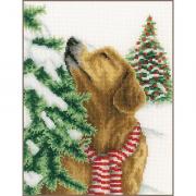 Dog in Christmas scenery