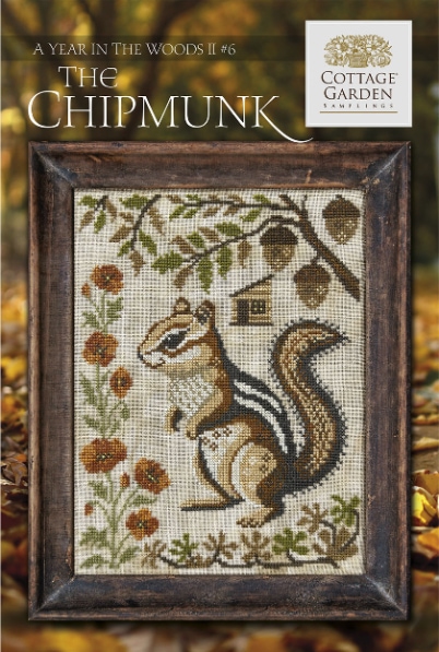 A Year In The Woods II - 6 - The Chipmunk