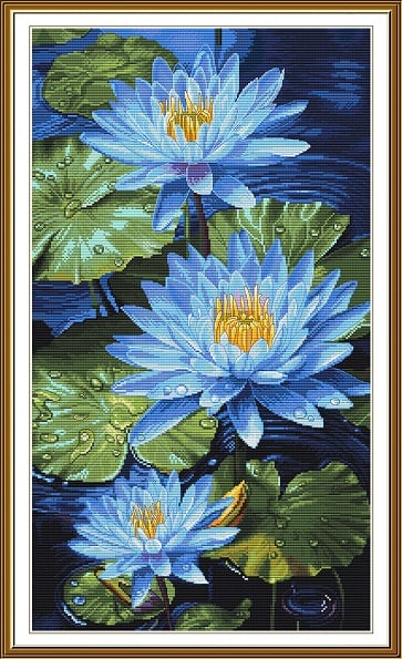 Blue lotuses
