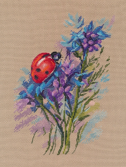 Ladybug (Julia Girgel)