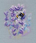 Bumblebee on Lavender (Julia Girgel)