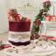 Book Eco Vita 4 - Christmas Home Deco - 6 progetti