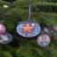 Decoration - Star, Shine!