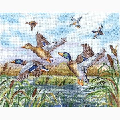 Flying Ducks