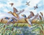 Flying Ducks