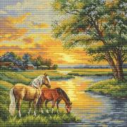 Homeland