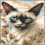 Siamese Cat