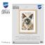 Siamese Cat