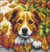 Dog in autumn